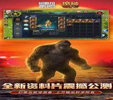 魔域口袋版手游模拟器