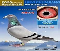 春江公棚