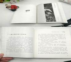 湘行散记内容摘要