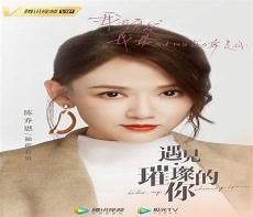 遇见璀璨的你原著叫什么