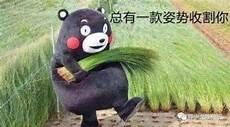 躺平是什么时候流行的