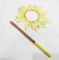 向日葵铅笔画素描图片